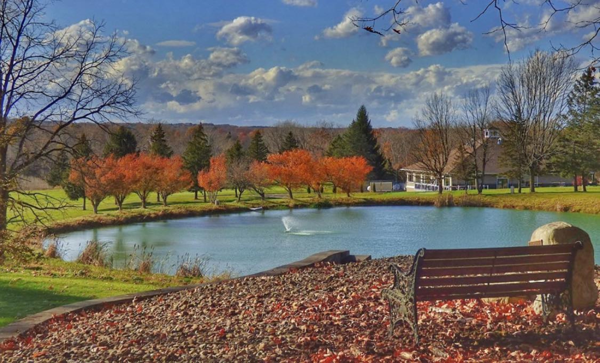 Pond and trees on golf course